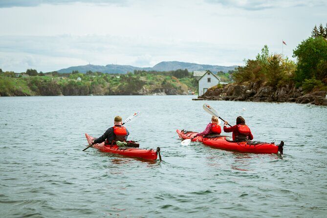 Guided Kayak Tour Bergen - The Itinerary: What You Can Expect