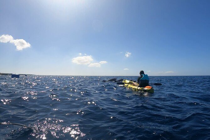 Guided Kayak Tour From Los Cristianos Beach Tenerife - A Deep Dive Into the Tenerife Kayak Experience