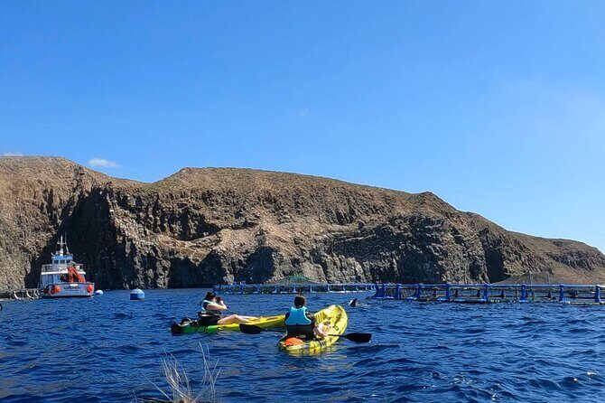 Guided Kayak Tour From Los Cristianos Beach Tenerife - The Sum Up