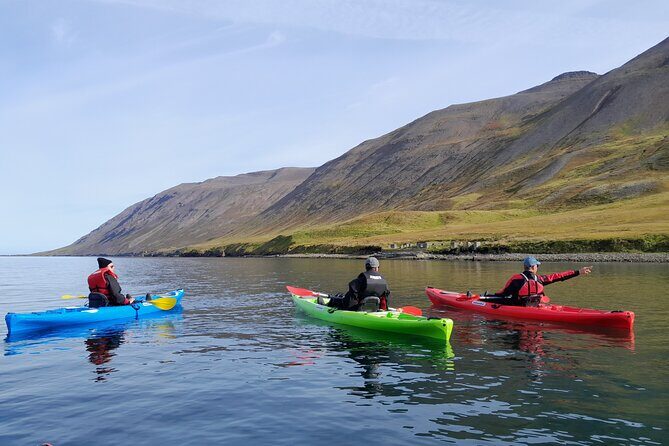 Guided kayak tour in Siglufjörður / Siglufjordur. - FAQ