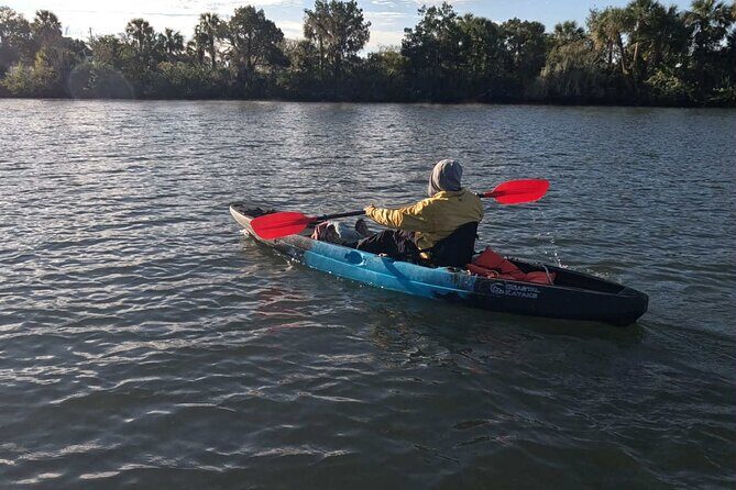 Guided Kayak Tour of Crystal Rivers Springs and Wildlife - Why This Tour Excels