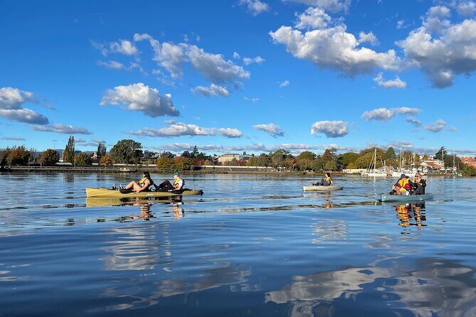 Guided Kayak Tour on Launceston's scenic waterfront on foot powered Hobie kayaks - An In-Depth Look at the Launceston Kayak Tour