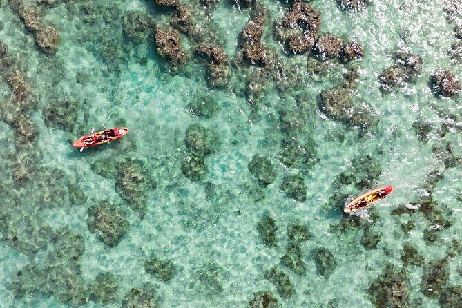 Guided Kayak Tour to Kailuas Twin Islands - The Value in Details: Why This Tour Works