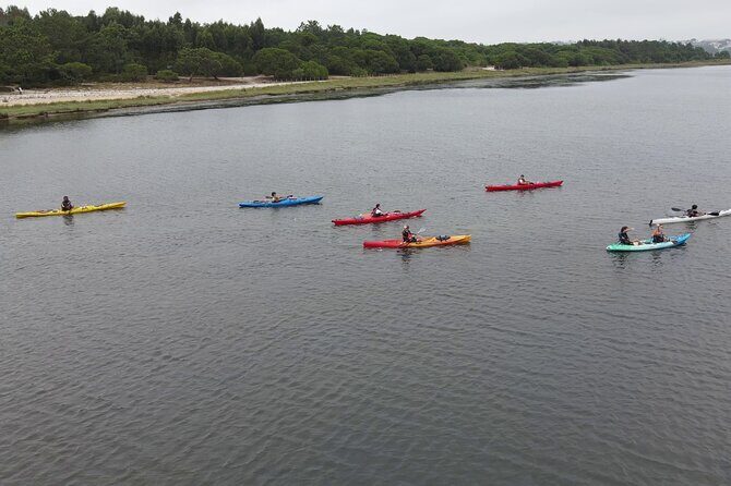 Guided Kayak Tours in the Óbidos lagoon - Who Is This Tour Perfect For?