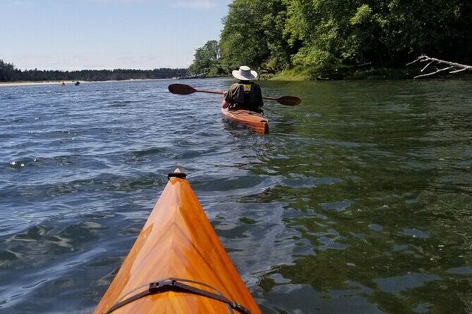 Guided Kayak Tours on the Salmon River Estuary in Otis, Oregon - Who Should Consider This Tour?