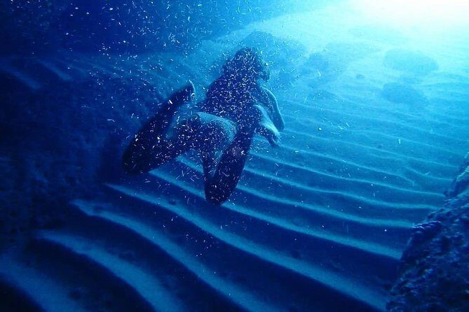 Guided Kayaking and Snorkeling Tour to Green Cave and Sipan Island from Lopud - A Dive Into the Details: What to Expect