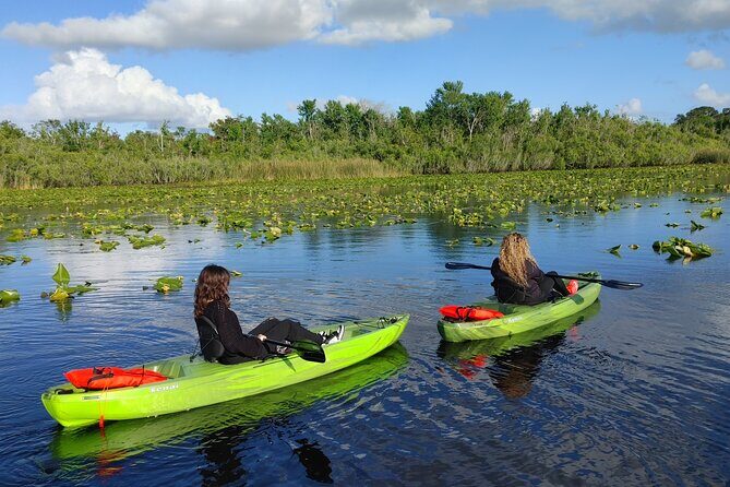 Guided Kayaking Manatee Tour near Orlando - An In-Depth Look at the Blue Springs Kayaking Experience