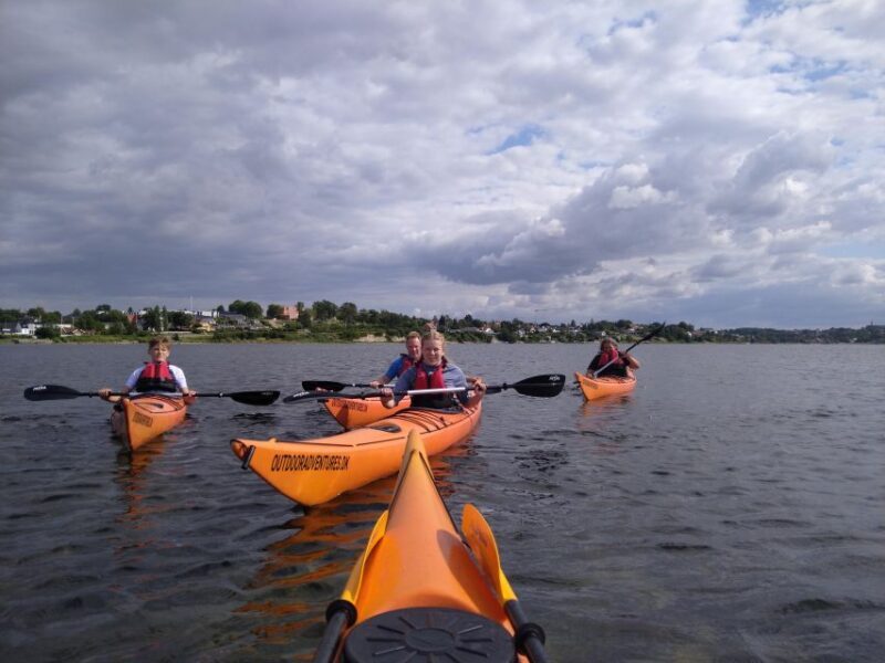 Guided kayaking on Roskilde Fjord: Private tour - Introducing the Guided Kayaking on Roskilde Fjord: Private Tour
