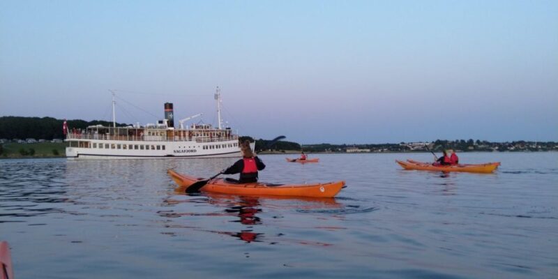 Guided kayaking on Roskilde Fjord: Sunday afternoon - A Deep Dive into the Roskilde Fjord Kayaking Experience