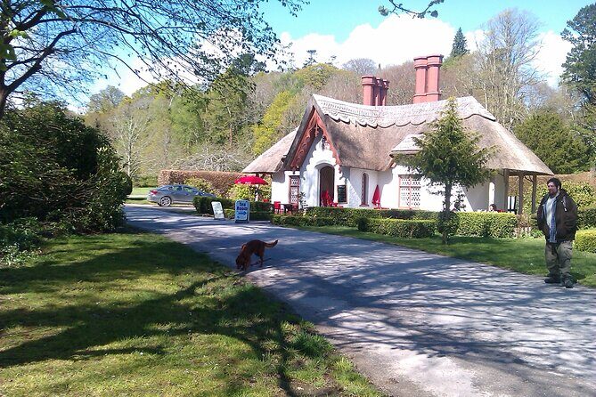 Guided Killarney National Park Walking Tour - What to Expect: The Itinerary Breakdown