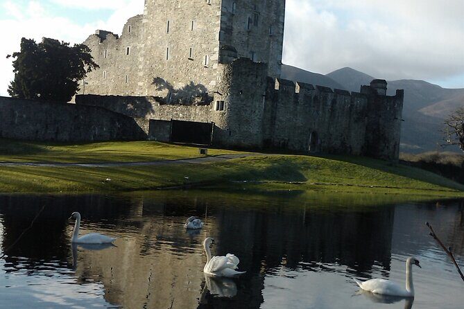 Guided Killarney National Park Walking Tour - Wildlife Encounters and Scenic Views