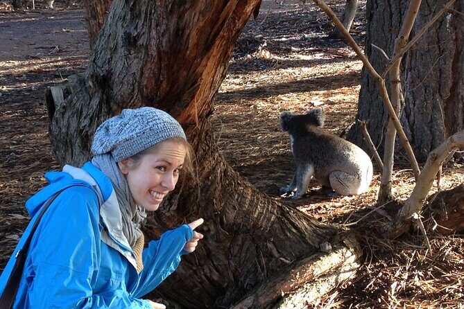 Guided Koala Walk and Bushfire ecology tour - Introducing the Guided Koala Walk and Bushfire Ecology Tour
