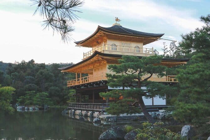 Guided Kyoto City Cherry Blossom One Day Private Tour - Key Points