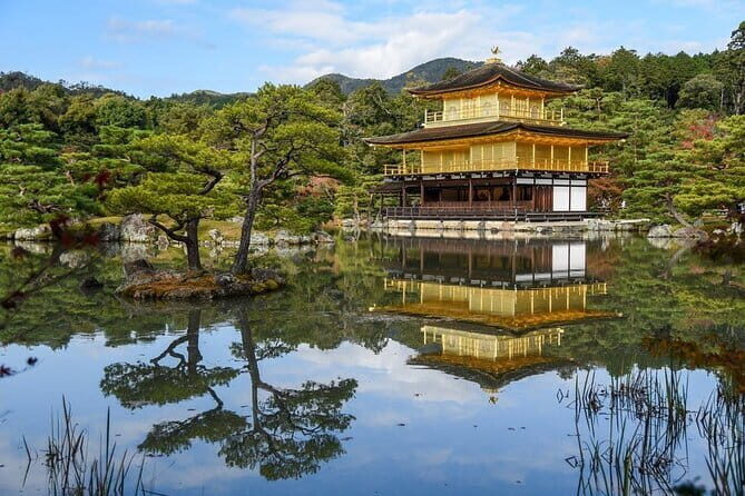 Guided Kyoto City Cherry Blossom One Day Private Tour - Logistics and What It Means for You