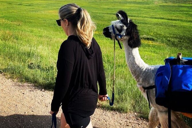 Guided Llama Hike in the Rocky Mountains - Frequently Asked Questions