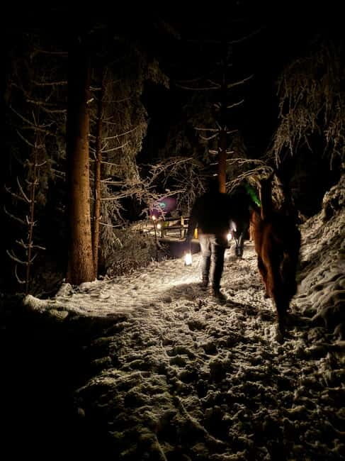 Guided llamawalk with a traditional, homemade cheesefondue - Practical Details and Tips for Visitors