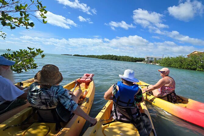 Guided Mangrove Eco Tours Kayak or Paddleboard Adventure - What’s Included and What to Bring