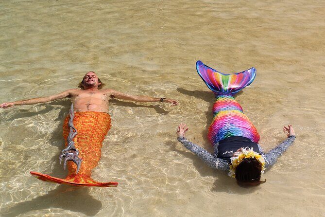 Guided Mermaid Snorkel Experience, Free Videos in West Palm Beach - What the Tour Offers