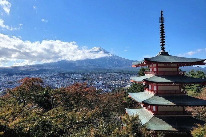 Guided Mount Fuji Private Tour GREEN NUMBER PLATES - The Experience in Detail