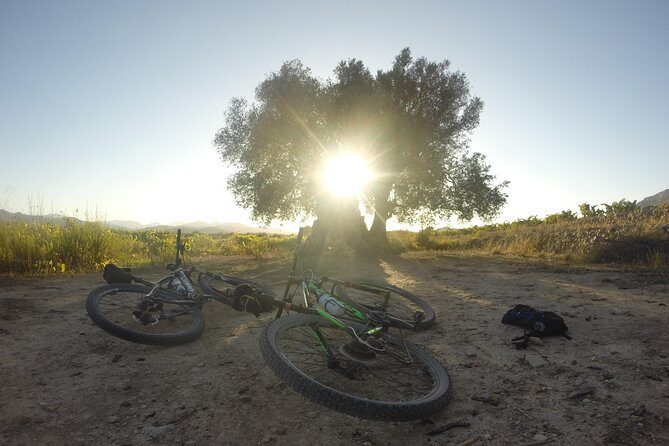 Guided mountain bike route - "Pata Negra" Tour - An In-Depth Look at the "Pata Negra" Mountain Bike Experience