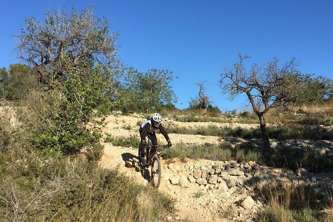 Guided mountain bike route - "Pata Negra" Tour - FAQ – Your Questions Answered