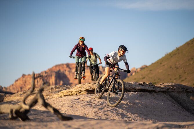 Guided Mountain Bike Tours - Zion - Exploring Zion on Two Wheels: A Detailed Look at the Guided Mountain Bike Tour in St. George