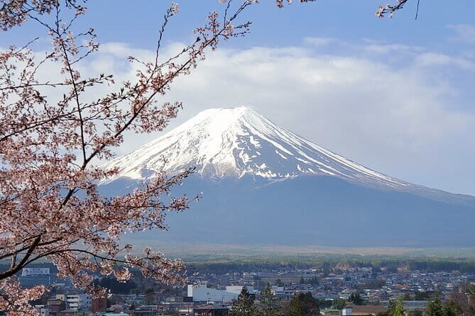 Guided Mt. Fuji & Hakone Tour Bullet Train Return GREEN NUMBER - Real Insights from Travelers