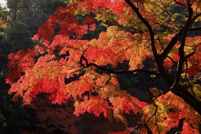 Guided Mt. Fuji & Hakone Tour Bullet Train Return GREEN NUMBER - FAQs