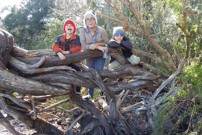 Guided Nature Hikes in NE Florida & SE Georgia - The Sum Up