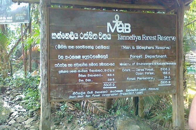 Guided Nature Trail to Kanneliya Forest - The Experience: Pros and Cons