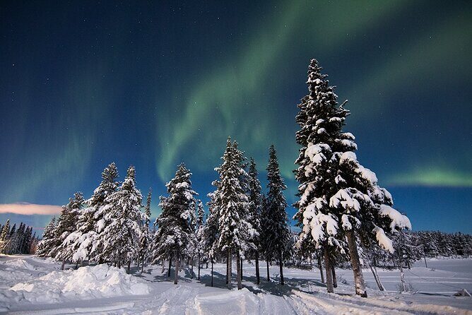 Guided Northern Lights Tour at Kiruna - Key Points