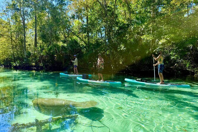 Guided Paddle and Photo Experience at Weeki Wachee Springs - Key Points