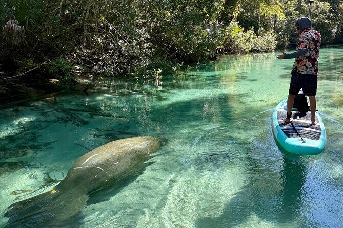 Guided Paddle and Photo Experience at Weeki Wachee Springs - The Experience in Detail