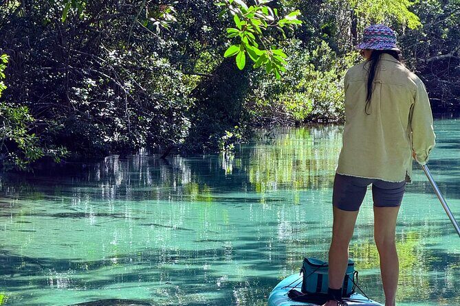 Guided Paddle and Photo Experience at Weeki Wachee Springs - The Sum Up