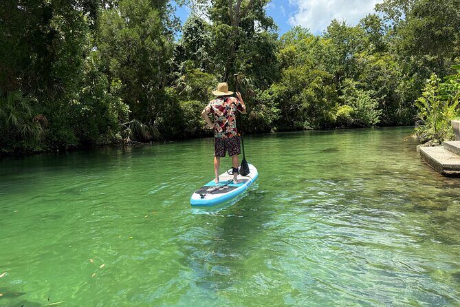 Guided Paddleboard Adventure on Weeki Wachee Springs - Key Points