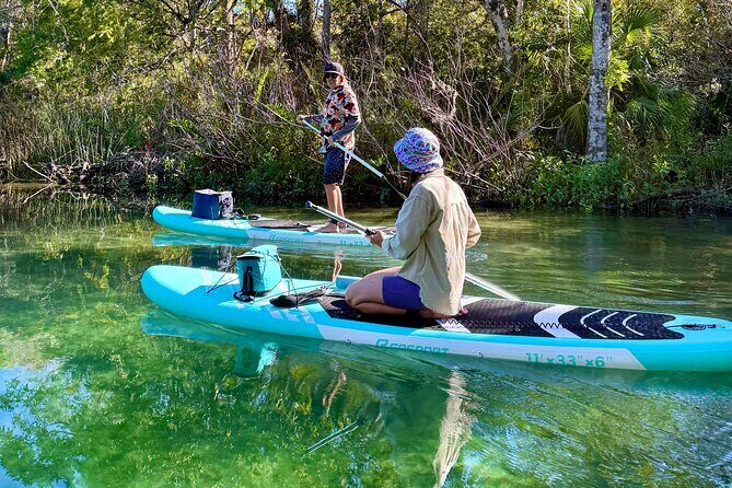 Guided Paddleboard Adventure on Weeki Wachee Springs - An In-Depth Look at the Tour