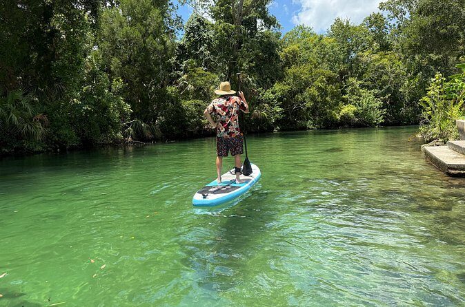 Guided Paddleboard Adventure on Weeki Wachee Springs - Final Thoughts: Who Is This Tour Best For?