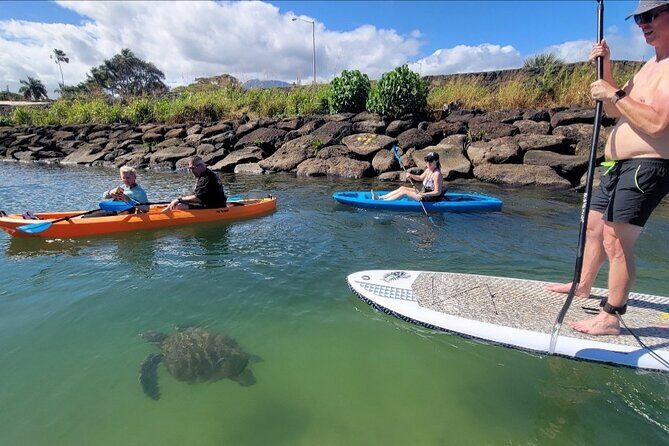 Guided Paddleboard and Kayak Tour on the Anahulu River - Introduction