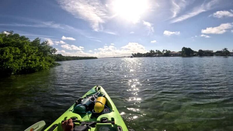 Guided Pedal Kayak Tours in Anna Maria and Bradenton - The Sum Up: Is This Tour Worth It?
