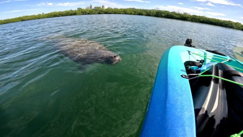 Guided Pedal Kayak Tours in Anna Maria and Bradenton - FAQ
