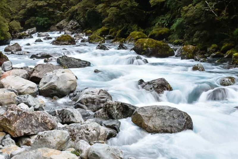 Guided Private Milford Sound Day Tour from Te Anau(Cruise In - The Practicalities: What You Need to Know