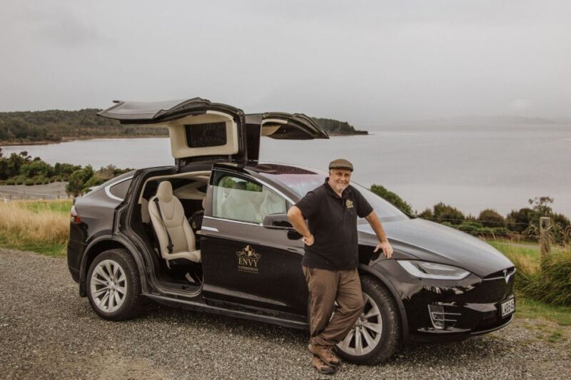 Guided Private Milford Sound Day Tour from Te Anau(Cruise In - Who Will Love This Tour?