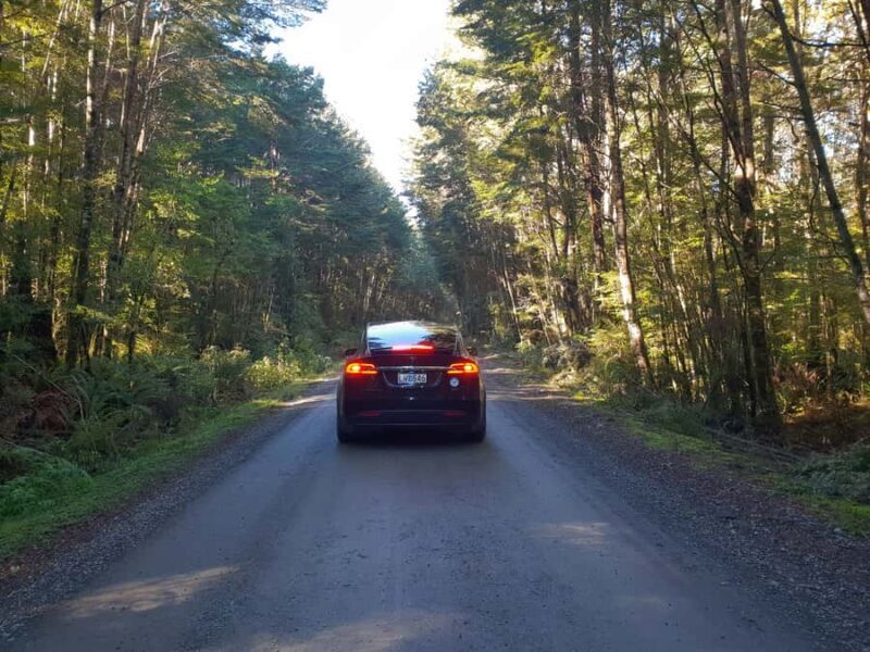 Guided Private Milford Sound Day Tour from Te Anau(Cruise In - FAQ