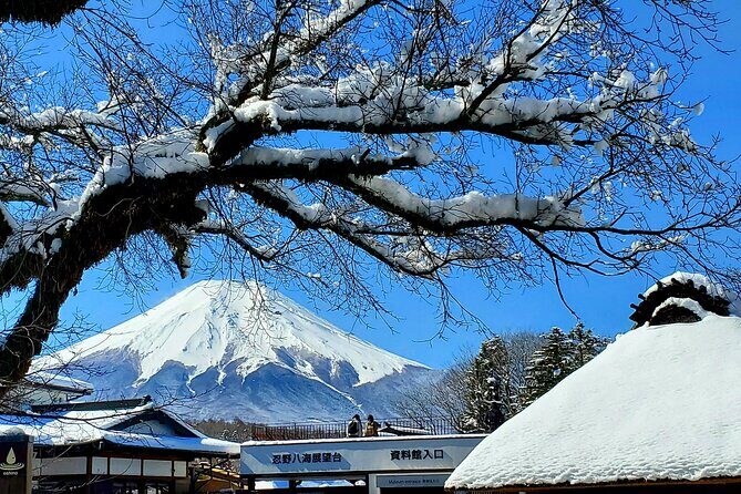 Guided Private Mt. Fuji and Hakone Tour GREEN NUMBER PLATES - Key Points