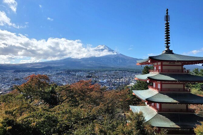 Guided Private Mt. Fuji and Hakone Tour GREEN NUMBER PLATES - A Closer Look at the Itinerary
