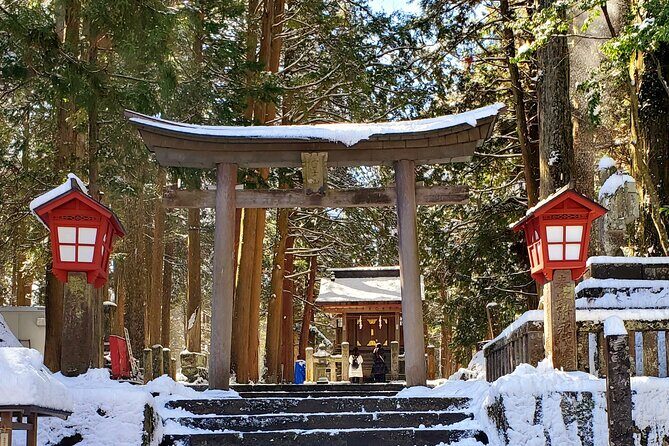Guided Private Mt. Fuji and Hakone Tour GREEN NUMBER PLATES - The Sum Up: Who Should Consider This Tour?