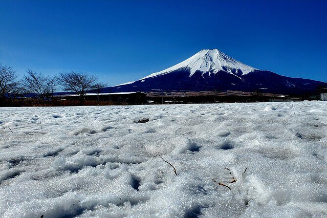 Guided Private Mt. Fuji and Hakone Tour GREEN NUMBER PLATES - FAQ