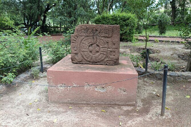 Guided Private Tour Teotihuacan,Basilica of Guadalupe,Tlatelolco - A Deep Dive into the Experience