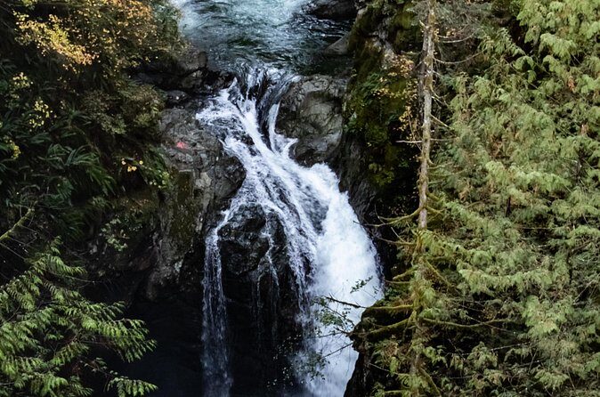 Guided Rainforest & Suspension Bridge Private Hike - FAQ