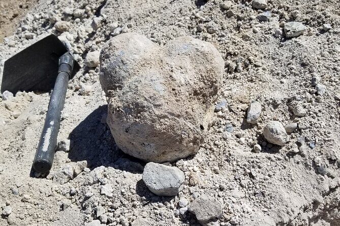 Guided Rock Collecting Tour with a Geologist near Salt Lake City - An In-Depth Look at the Tour Experience